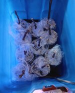 1000015894.jpg 1000015894.jpg