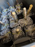 PXL_20251104_145405362.jpg PXL_20251104_145405362.jpg