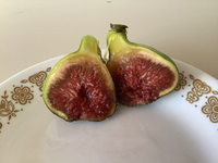 IMG_3117.png IMG_3117.png