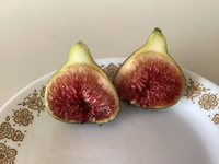 IMG_3118.png IMG_3118.png