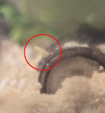 1762366642162.png 1762366642162.png