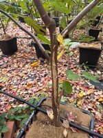 IMG_6644.jpeg IMG_6644.jpeg