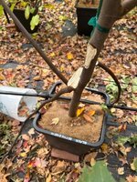 IMG_6647.jpeg IMG_6647.jpeg