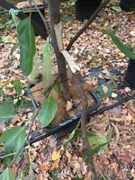 IMG_6648.jpeg IMG_6648.jpeg