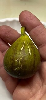 IMG_6629.jpeg IMG_6629.jpeg