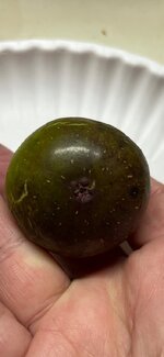 IMG_6630.jpeg IMG_6630.jpeg