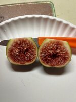 IMG_6631.jpeg IMG_6631.jpeg