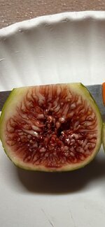 IMG_6631.jpeg IMG_6631.jpeg