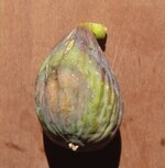 20251108_110436.jpg 20251108_110436.jpg