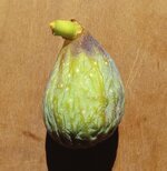 20251108_110442.jpg 20251108_110442.jpg