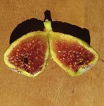 20251108_110524.jpg 20251108_110524.jpg