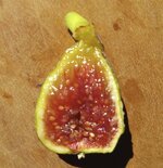 20251108_110600.jpg 20251108_110600.jpg