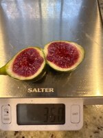 IMG_6664.jpeg IMG_6664.jpeg