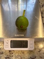 IMG_6663.jpeg IMG_6663.jpeg