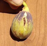 20230925_170424.jpg 20230925_170424.jpg