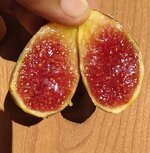 20230925_170513.jpg 20230925_170513.jpg