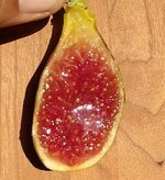 20230925_170551.jpg 20230925_170551.jpg