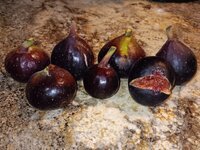 1000015991.jpg 1000015991.jpg