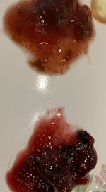 IMG_4630.jpeg IMG_4630.jpeg