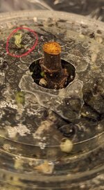 IMG_3728.jpeg IMG_3728.jpeg