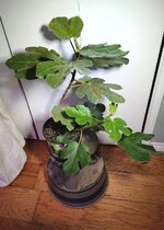 1000016130.jpg 1000016130.jpg