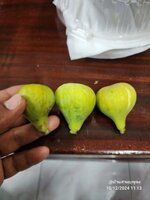 1000022305.jpg 1000022305.jpg