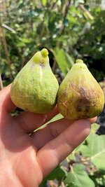 1000022304.jpg 1000022304.jpg