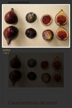 1000022306.jpg 1000022306.jpg