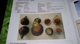 1000019157.jpg 1000019157.jpg