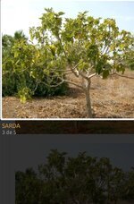 1000022308.jpg 1000022308.jpg