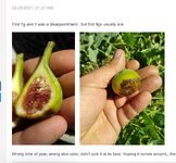 IMG_0156.jpeg IMG_0156.jpeg