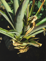 Screenshot 2025-11-20 at 10.46.13 PM.png