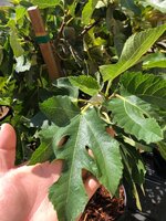 IMG_8841.jpeg