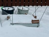 IMG_1889.jpeg IMG_1889.jpeg