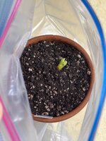 Single Node JFEBMNOT 010526.jpeg