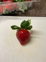 IMG_2765.jpeg IMG_2765.jpeg