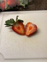 IMG_2766.jpeg IMG_2766.jpeg