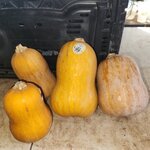 20260104_111347.jpg 20260104_111347.jpg