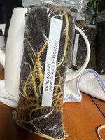 IMG_7443.jpeg