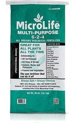 1000008003.jpg 1000008003.jpg