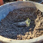 20260215_161714.jpg 20260215_161714.jpg