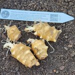 20260219_132547.jpg 20260219_132547.jpg