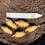 20260219_132402.jpg 20260219_132402.jpg