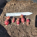 20260219_132245.jpg 20260219_132245.jpg