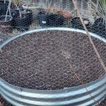 20260217_181941.jpg 20260217_181941.jpg