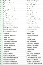 Screenshot 2026-02-21 134042.jpg