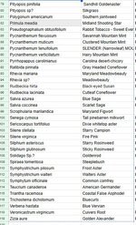 Screenshot 2026-02-21 134216.jpg