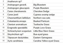 Screenshot 2026-02-21 134240.jpg