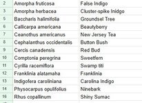 Screenshot 2026-02-21 134346.jpg