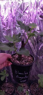 IMG_20260222_015739.jpg IMG_20260222_015739.jpg